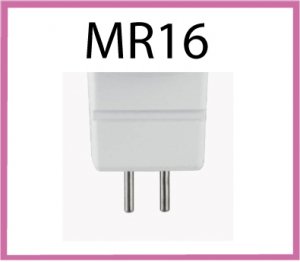 MR16 12 Volt